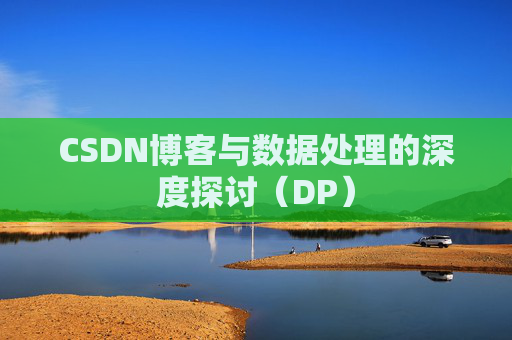 CSDN博客与数据处理的深度探讨（DP）